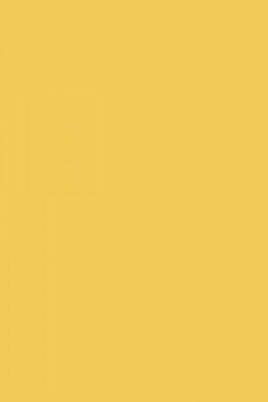 FARROW AND BALL YELLOW GROUND NO. 218 PAINT